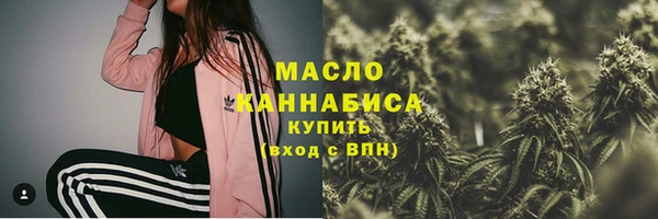 твердый Мегион