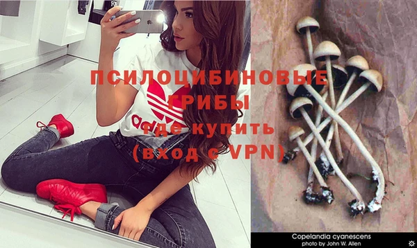твердый Мегион