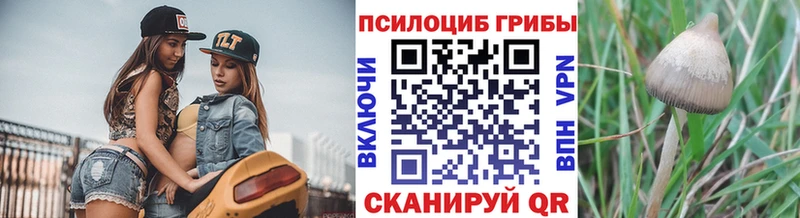 Псилоцибиновые грибы ЛСД где купить наркоту Чехов
